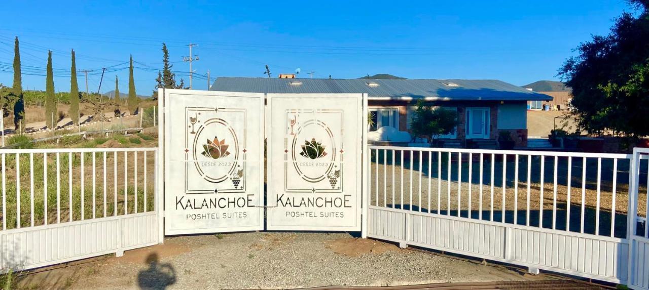 Kalanchoe Poshtel Suites Las Palmas  Extérieur photo